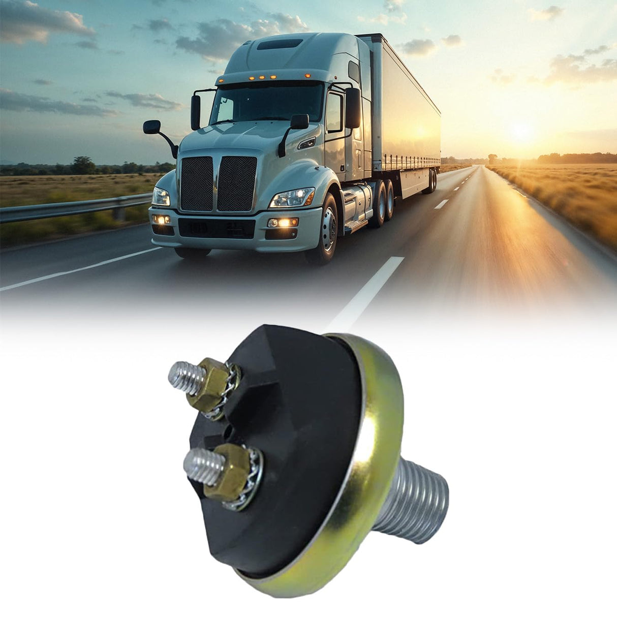 TORQUE Stoplight Switch Replaces Haldex BE13250, OEM 3250