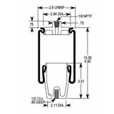 Cab Sleeper Air Spring Bag for Navistar (Firestone 7081) - AFTERMARKETUS Torque Cabin Air Springs